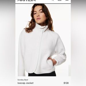 Aritzia Sunday Best Icecap Jacket